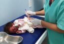 Maternidade do Edson Ramalho aplica imunobiológico que protege bebês contra infecções respiratórias graves